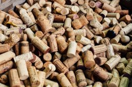 Nakedwines elisha-terada-237093-1024x683
