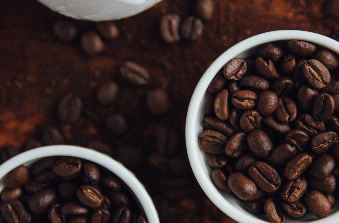 maria-fernanda-gonzalez-140902 (2)