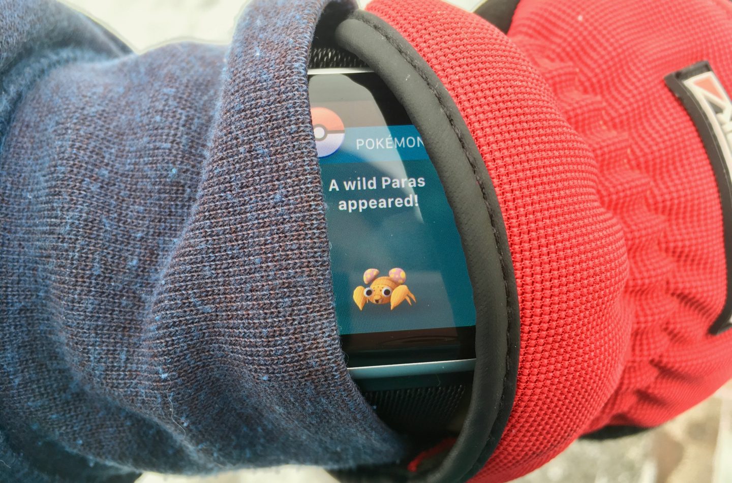 anthony-rossbach-253098