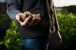 agence-producteurs-locaux-damien-kuhn-97729