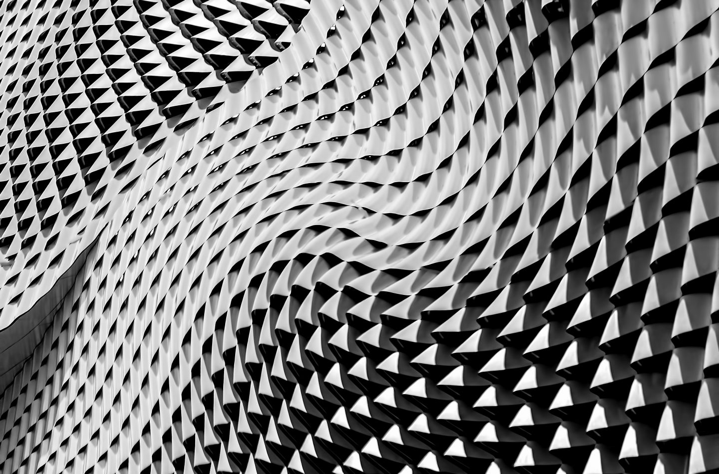 ricardo-gomez-angel-204573