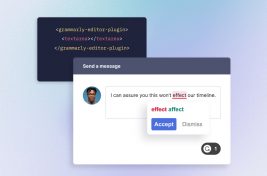 grammarly-for-developers