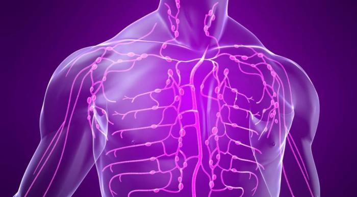 6a5c4137768e0c3bac8b0d02abc39bdb