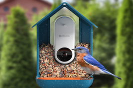bird-buddy-smart-feeder